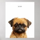 Buscar griffon posters Lindo