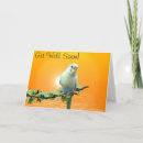 Buscar parakeet tarjetas Animal