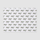 Buscar aviones papel de seda General y unisex