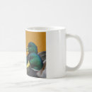 Buscar drake tazas Pato silvestre