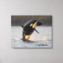 Buscar orcas lienzos Ballenas