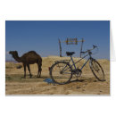 Buscar camello árabe postales Aventura