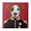 Buscar uniformes azulejos Animal