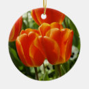 Buscar tulipanes de la primavera adornos Jardín