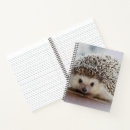 Buscar erizos cuadernos Animal