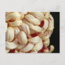 Buscar gotas de agua postales Flor