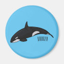 Buscar ballenas imanes Ballena asesina