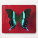 Buscar mariposa roja alfombrillas de raton Negro