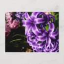 Buscar azul ii postales Floral