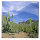 Buscar monumento nacional azulejos Naturaleza