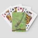 Buscar bicho barajas de cartas Insecto