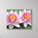 Buscar flor de loto lienzos Rosa