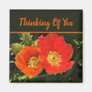 Buscar de larga distancia imanes Para todos