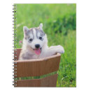 Buscar husky libretas Dog