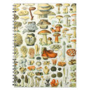 Buscar biología cuadernos Naturaleza