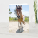 Buscar potro tarjetas Animales
