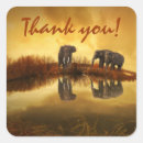 Buscar elefante indio pegatinas Elefantes