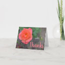 Buscar rosa coral tarjetas Naturaleza