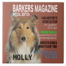 Buscar perro del collie azulejos Perros