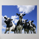 Buscar agricultura posters Horizontal