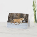 Buscar escondite tarjetas Nieve
