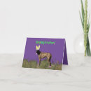 Buscar great dane tarjetas Fotografía