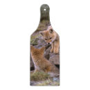 Buscar garras tablas cortar 2 º garra