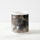Buscar shih tzu tazas Café