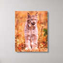 Buscar lince arte Salvaje