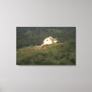 Buscar golpes lienzos Día