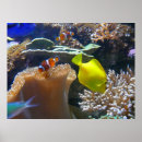 Buscar acuario posters Agua
