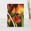Buscar efectos de escritorio fotografía Flores