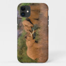 Buscar africa iphone fundas Safari
