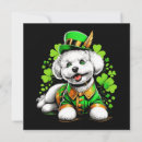 Buscar leprechaun afortunado Día de los martillazos