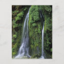 Buscar el fluir postales Verde