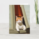 Buscar gato gordo tarjetas Felino