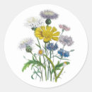 Buscar dibujo botánico pegatinas Flor