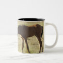 Buscar tarifa tazas Animal