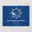 Buscar ballenas postales Blanco