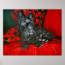 Buscar terrier escocés posters Retrato