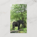 Buscar horse tarjetas de visita Animales