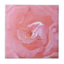 Buscar pizarra azulejos Rosa