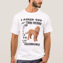 Buscar amor goldendoodle camisetas Lindo