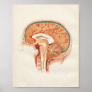 Buscar brain arte Vintage