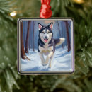 Buscar perro del husky siberiano adornos Acuarela