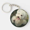 Buscar caniche llaveros Animal