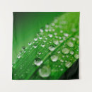 Buscar gotas de agua arte Naturaleza