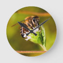 Buscar foto macra Naturaleza