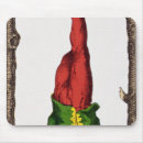 Buscar cartas tarot de alfombrillas de raton Futuro