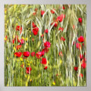 Buscar copia arte Flores
